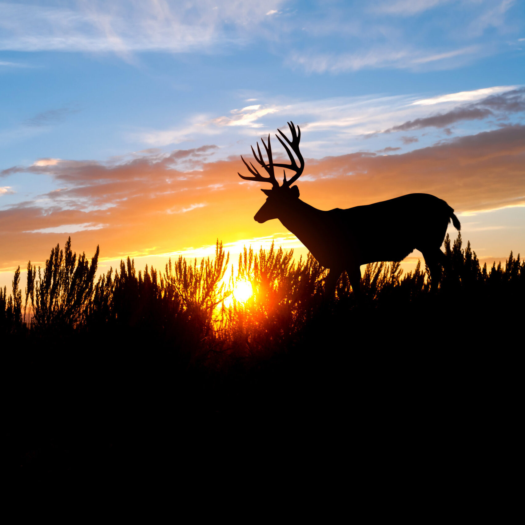 Voices of Our Land Concert