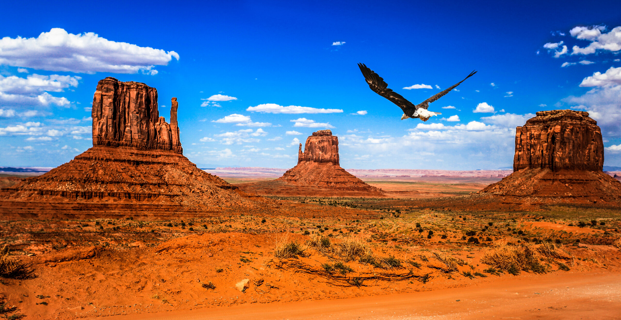 Photograph of the american southwest with three large plateaus made from red rock and an eagle flying in the forefront