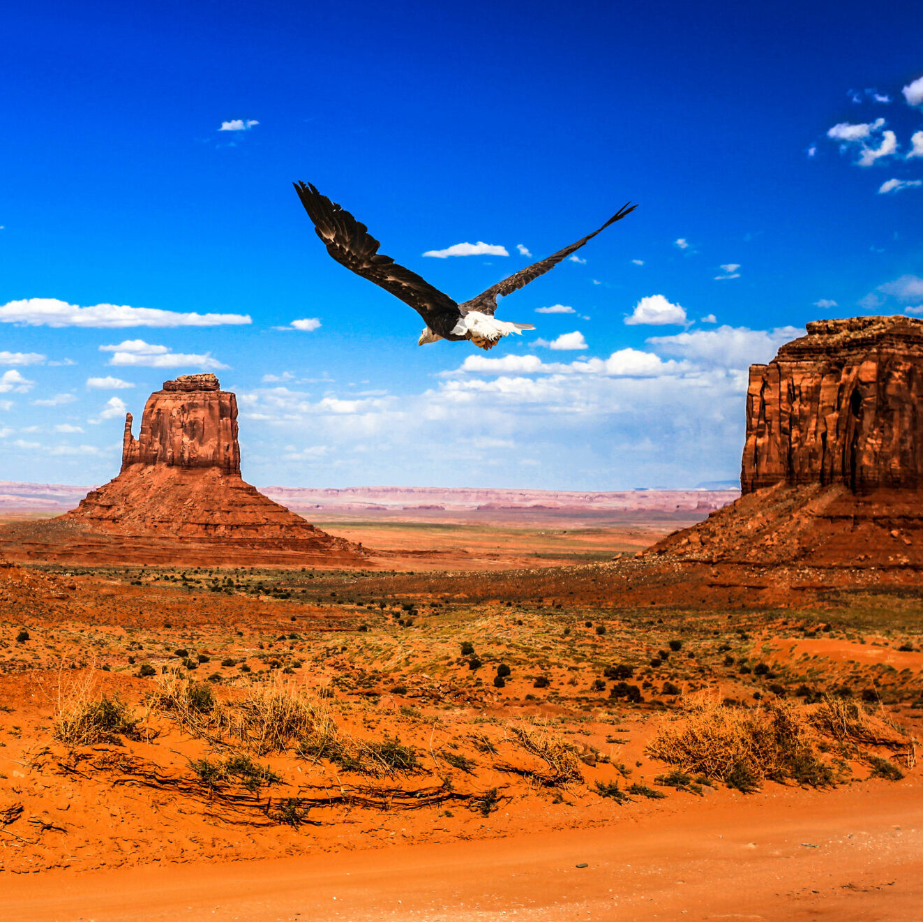 American Tapestry Concert