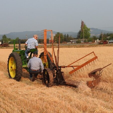 Harvest Fest